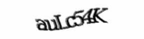 Security check image, please type the characters shown